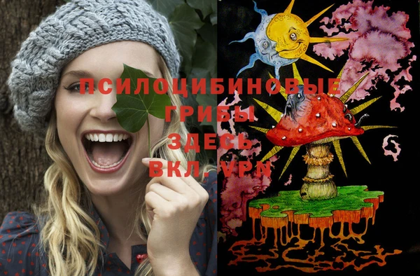 шишки Абдулино