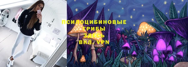 шишки Абдулино